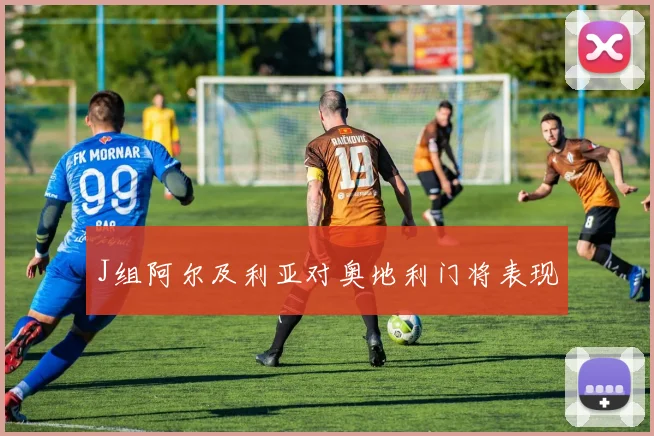 J组阿尔及利亚对奥地利门将表现