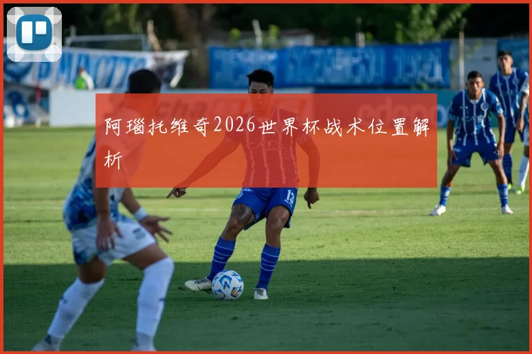 阿瑙托维奇2026世界杯战术位置解析