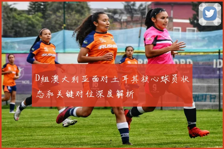 D组澳大利亚面对土耳其核心球员状态和关键对位深度解析